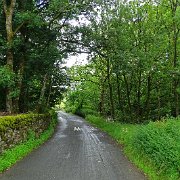 DSC03312