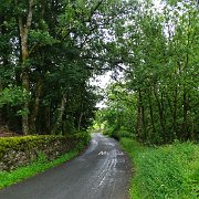 DSC03314