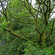 DSC03318