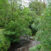 DSC03320