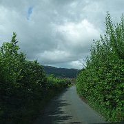 DSC03328