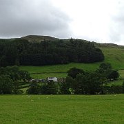DSC03366