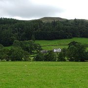 DSC03367