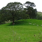 DSC03368