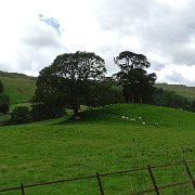 DSC03369