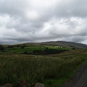 DSC03373