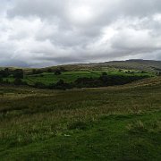 DSC03375