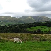 DSC03377
