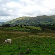 DSC03378