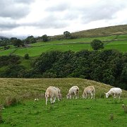 DSC03379