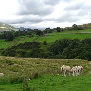DSC03381