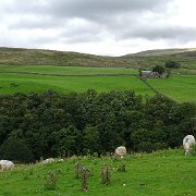 DSC03382