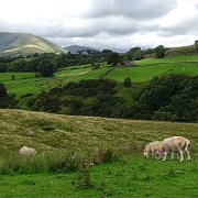 DSC03384