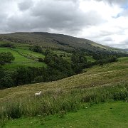 DSC03387
