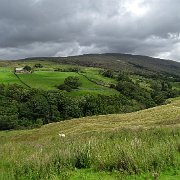 DSC03392