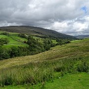 DSC03393