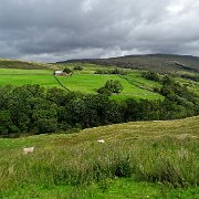 DSC03394
