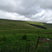 DSC03404