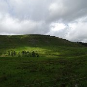 DSC03405