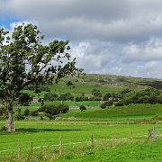 DSC03413