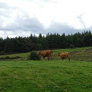 DSC03416