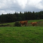 DSC03417