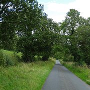 DSC03421