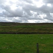DSC03428