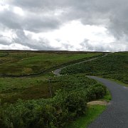 DSC03429