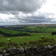 DSC03430