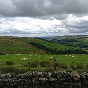 DSC03431