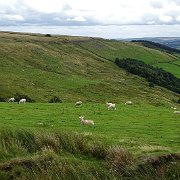 DSC03436