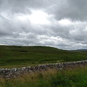 DSC03447