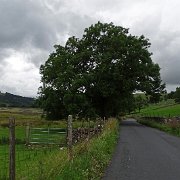 DSC03460