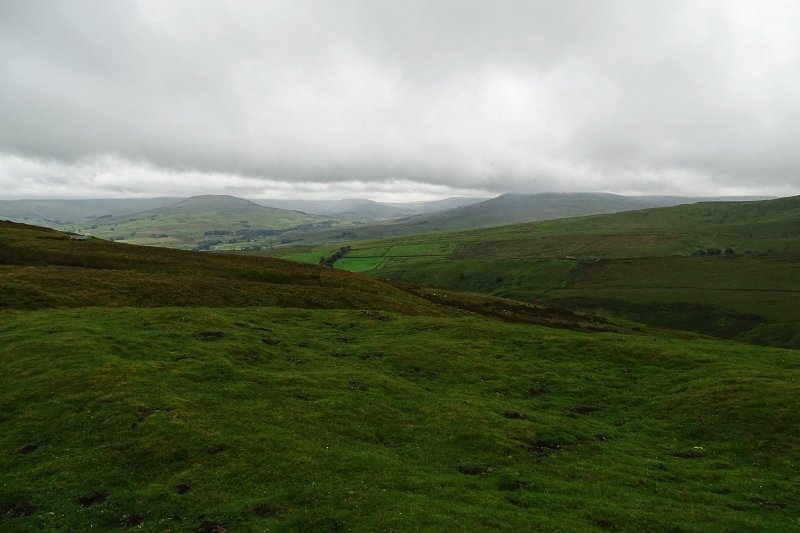 DSC03551