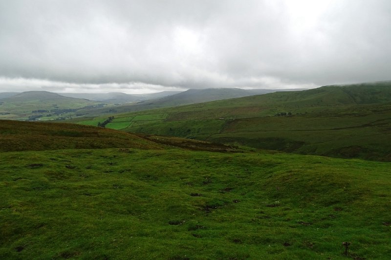 DSC03552