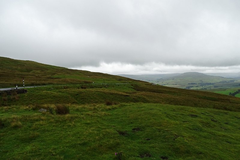 DSC03554