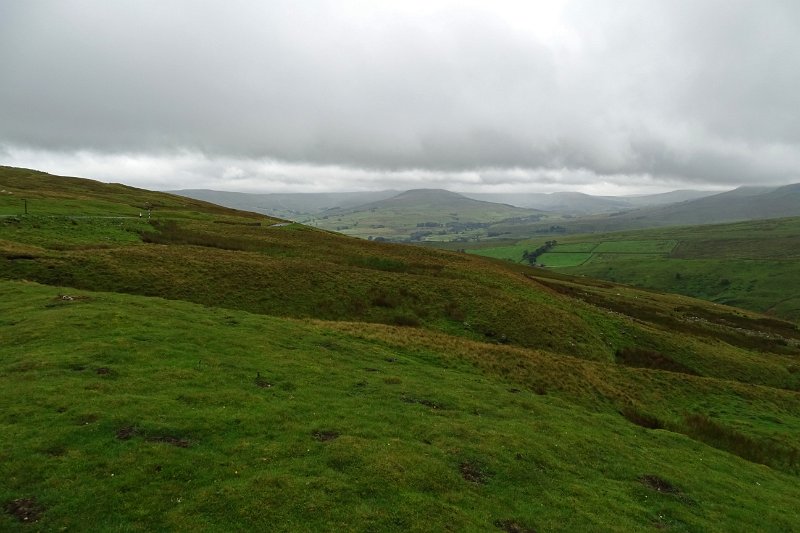 DSC03556