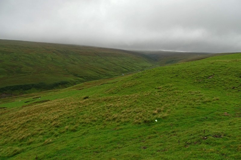 DSC03558