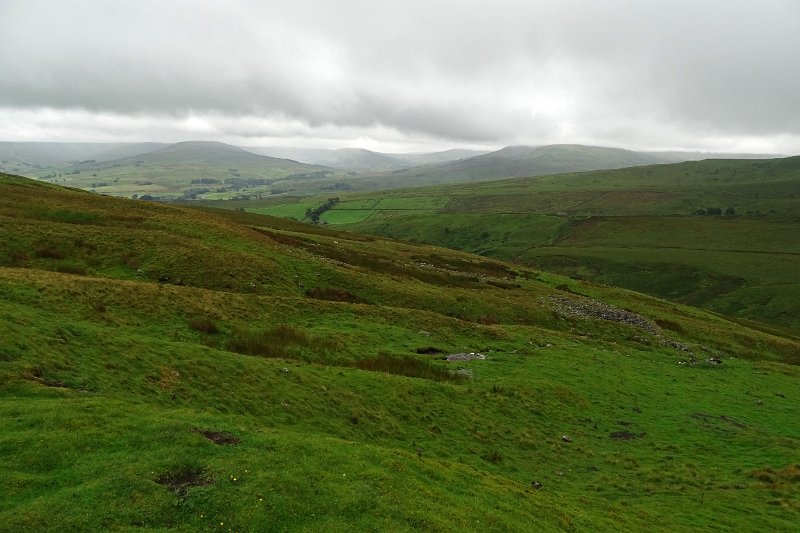 DSC03559