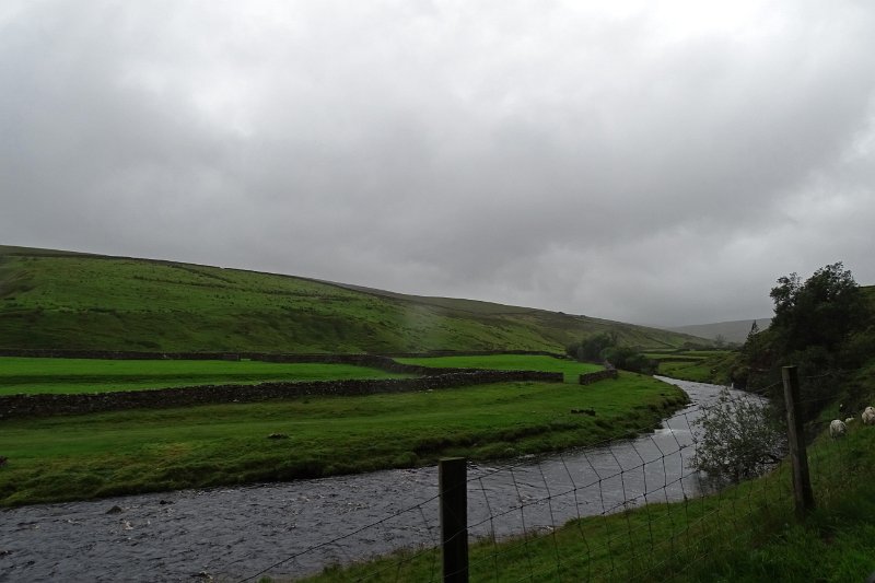 DSC03584