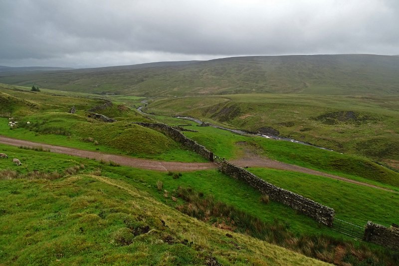 DSC03609