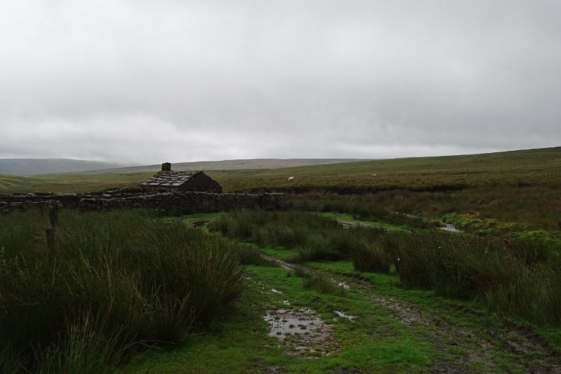 DSC03619