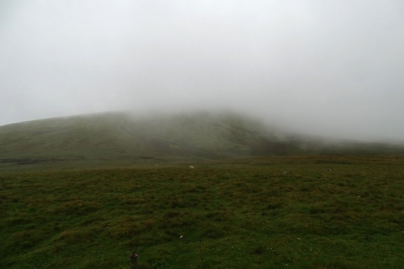DSC03630