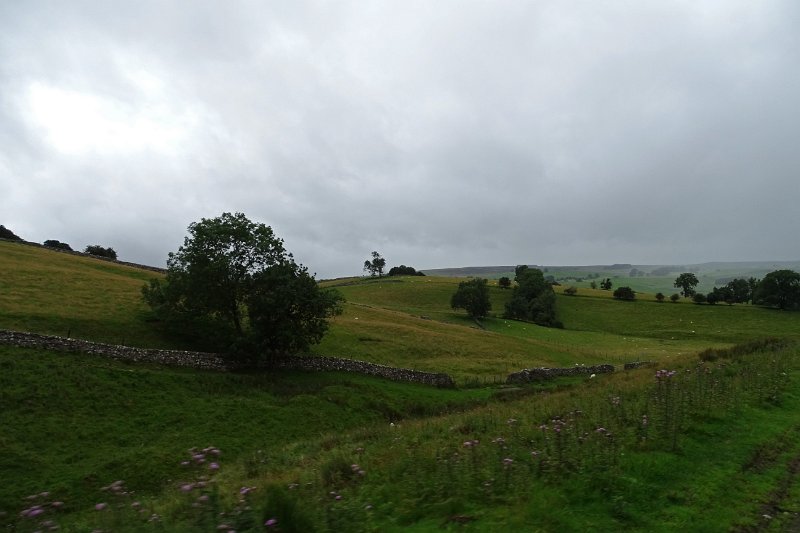 DSC03639