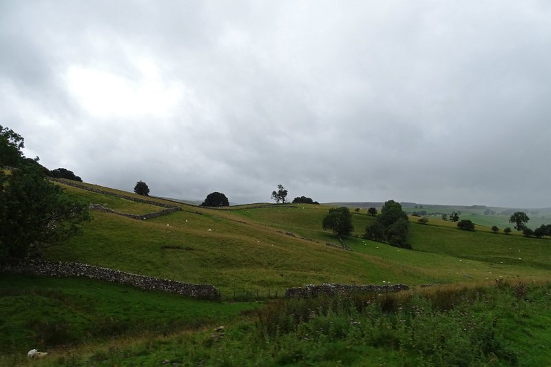 DSC03640