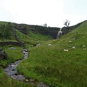 DSC03461