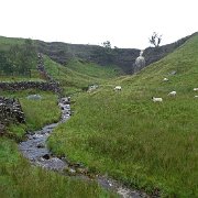 DSC03463