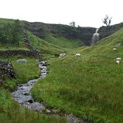 DSC03465