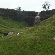 DSC03466